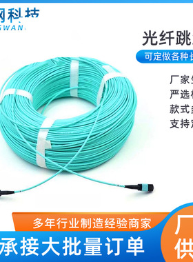 MPO-MPO 12芯5米10米20米50米100米万兆MTP光纤跳线