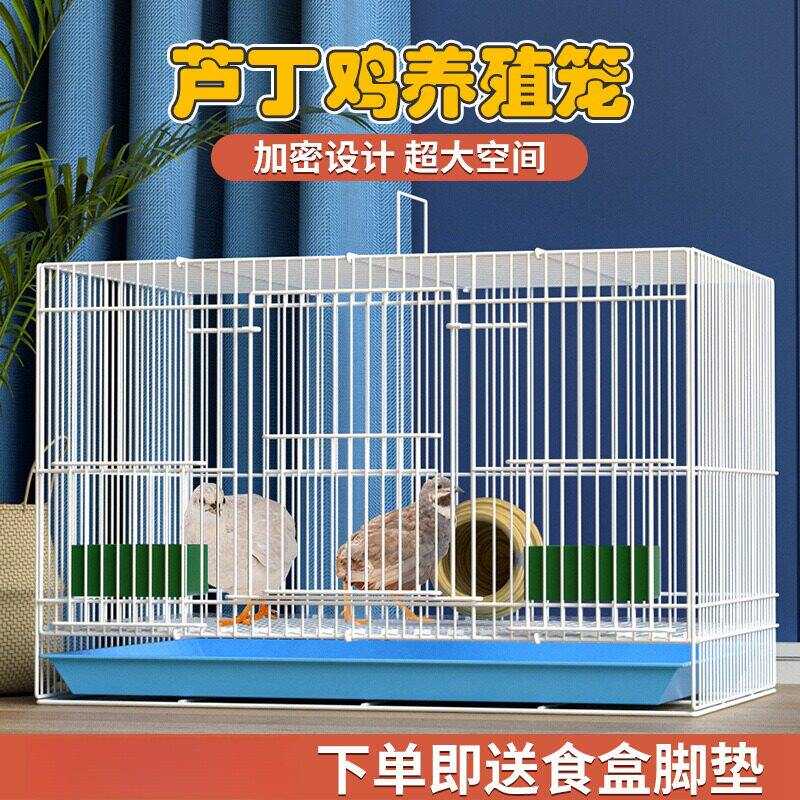 铁笼子鸽子笼绣眼笼铁艺八哥