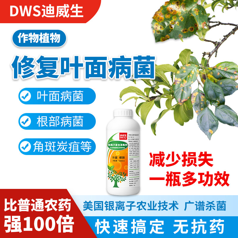 作植物果树大棚花卉蔬菜叶面角斑炭疽斑根烂瘤病细真菌消毒剂液银