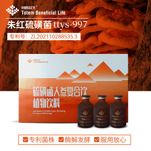 图腾益生硫磺菌人参饮专利真菌朱红硫磺菌ttys-997