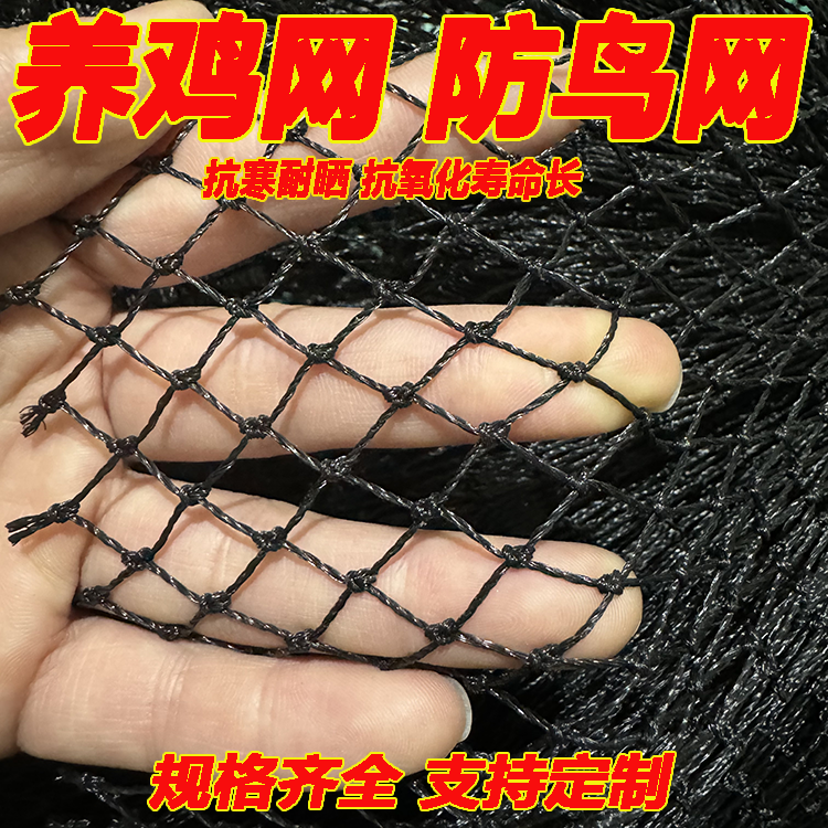 定制养鸡网户外养殖网菜园围栏拦鸡网尼龙小鸡网渔网鱼塘防鸟天网