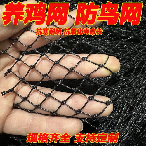 定制养鸡网户外养殖网菜园围栏拦鸡网尼龙小鸡网渔网鱼塘防鸟天网