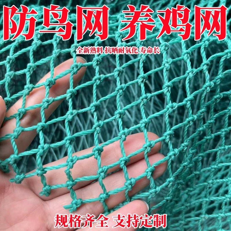 果园防鸟网池塘防鸟天网葡萄鱼塘大棚阳台家用防鸟网尼龙养鸡围网