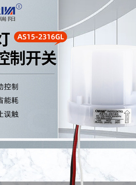 厂家供应AS15-2316GL户外光电感应开关防水防尘大功率控制开关