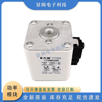 全新保险丝熔断器170M5366 170M5371 170M5374 170M5388 170M5389