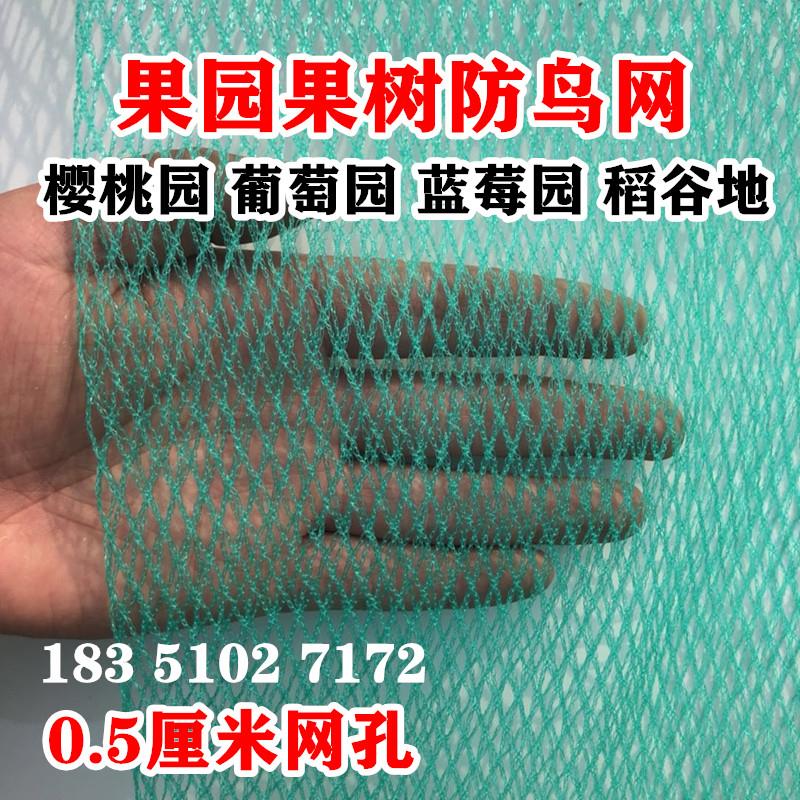 防鸟网果园果树防鸟用的网葡萄樱桃防鸟罩大棚阳台户外丝网防雹网