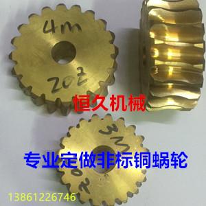 3模数铜蜗轮、铁芯蜗轮、铜套、蜗杆.专业非标定做
