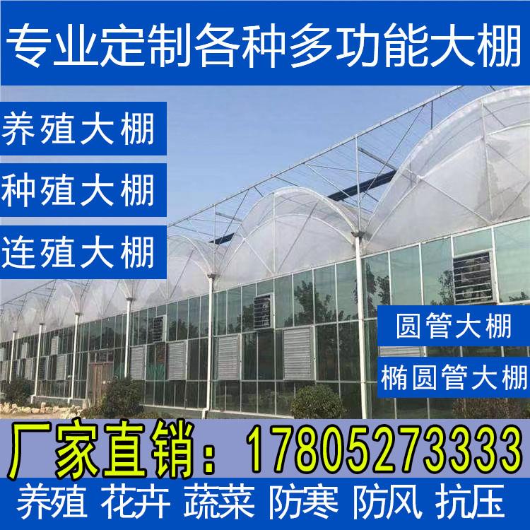温室大棚骨架钢管椭圆管蔬菜种植养殖遮阳连栋连体大棚全套定
