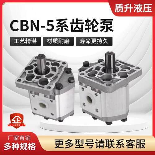 齿轮油泵CBT-E52E550E56E580单键左右旋铲车装载机系统液压泵