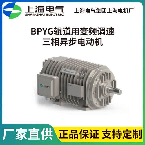 上海电气BPYG辊道用变频三相异步电机F绝缘IC410冷却380/660V