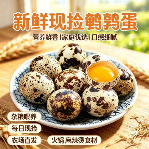 河南焦作直发鹌鹑蛋新鲜现捡农家杂粮养生的鸟蛋孕妇辅食50枚整箱