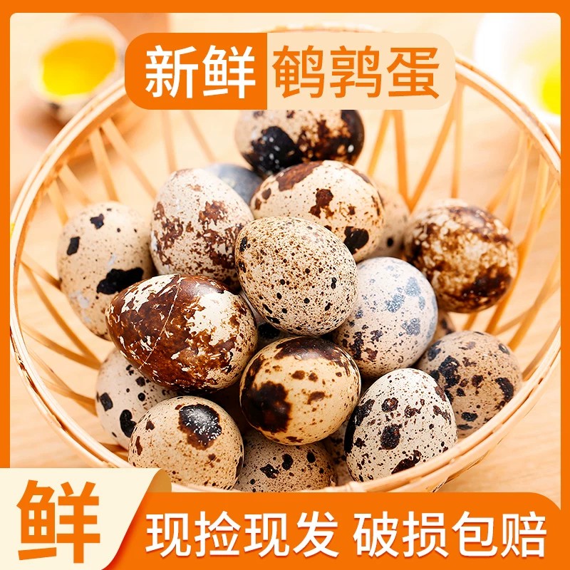 新鲜鹌鹑蛋生鹌鹑蛋杂粮喂养小鸟蛋现捡现发营养早餐宝宝辅食50枚