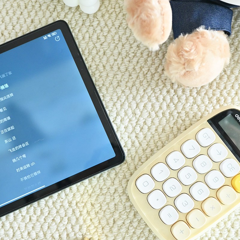 拍照地毯plog拍摄道具摄影棚背景布宠物背景毯圆形仿剑麻地毯