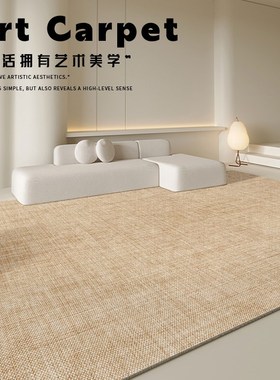 优选地毯客厅2024新款家用现代简约风卧室地垫免洗可擦沙发茶几毯