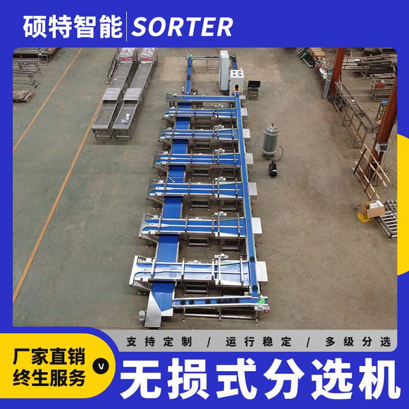 水果番茄重量检测分选机 蒙阴蜜桃无损分拣流水线 牛奶枣选果机