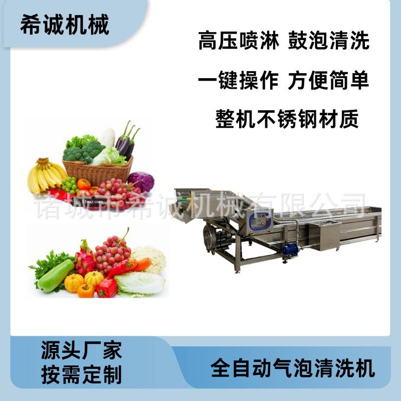 商用果蔬清洗机 芒果圣女果鼓泡喷淋清洗设备 去除农药残留清洗机