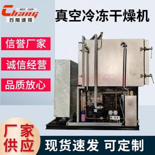 实验室设备 冷冻干燥机食品冻干机真空果蔬家用智能小型台式