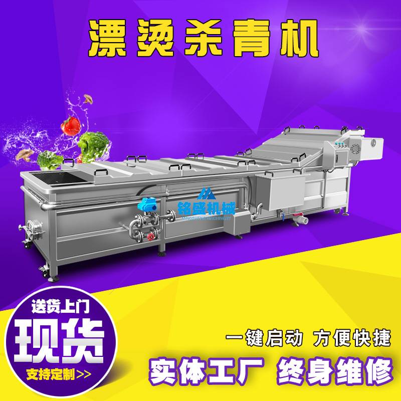 供应大哥良姜漂烫机 全自动南山姜杀青机 全自动莱芜小姜清洗设备