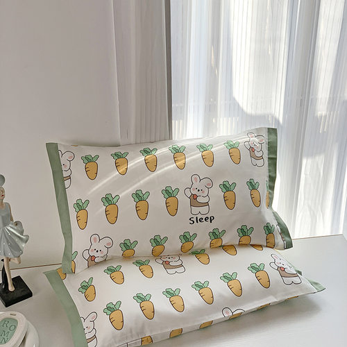 儿童卡通A类60支兰精天丝枕套丝滑凉I感幼儿园婴儿枕头套单人枕套