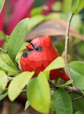 Jay家 北美红雀 手工木雕小鸟 可爱小肥R啾桌面摆件生日礼物