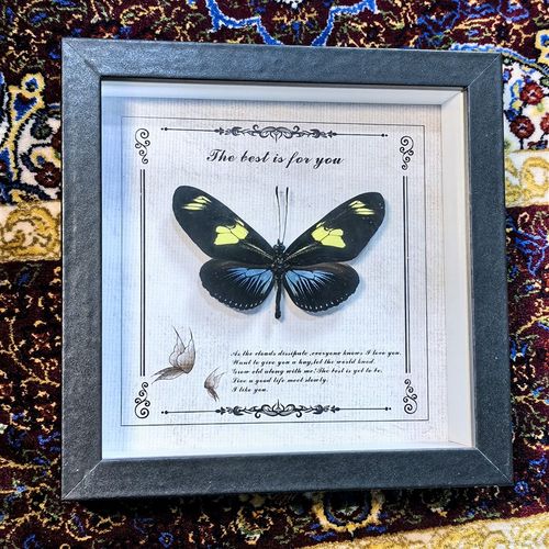 真蝴蝶标本相框欧式装饰画DIY复古风摆台家居R装饰品生日礼物礼品