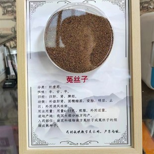 饰画标本K画 中药装 教师模具视频讲解 药材标本 中药标本展示