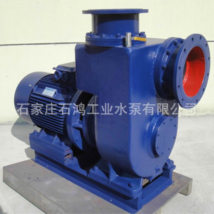 专业生产 卧式离心自吸油泵 单级抽油泵100CYZ-20 保证质量