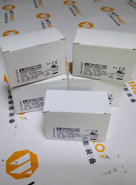 德国 Rubsamen-Herr 温控器 TWR60 换热器 温度开关