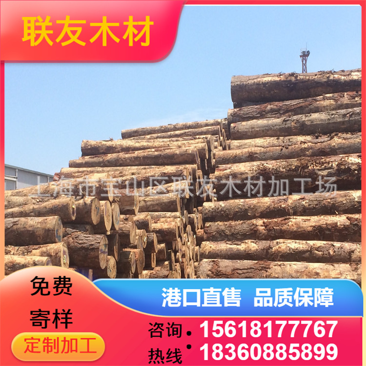 太仓港大量供应澳松原木  工地河道打桩木 原木桩 包装箱托盘