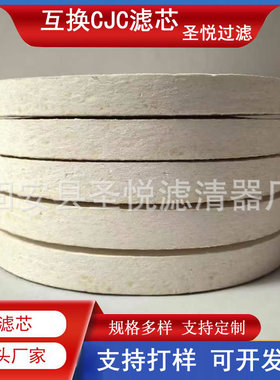 滤油机油滤清器PA5601348 BK27/27西西延森滤芯