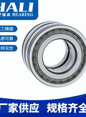 圆柱滚子轴承SL045072PP SL045076-PP SL045080-PP带密封满装轴承