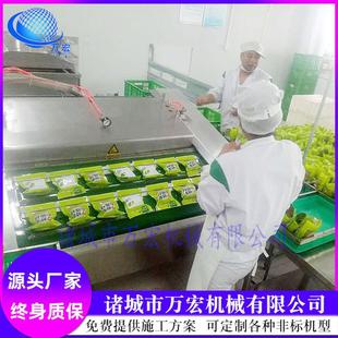 封口机 连续式 肉类小包装 滚动食品包装 预制菜真空包装 机