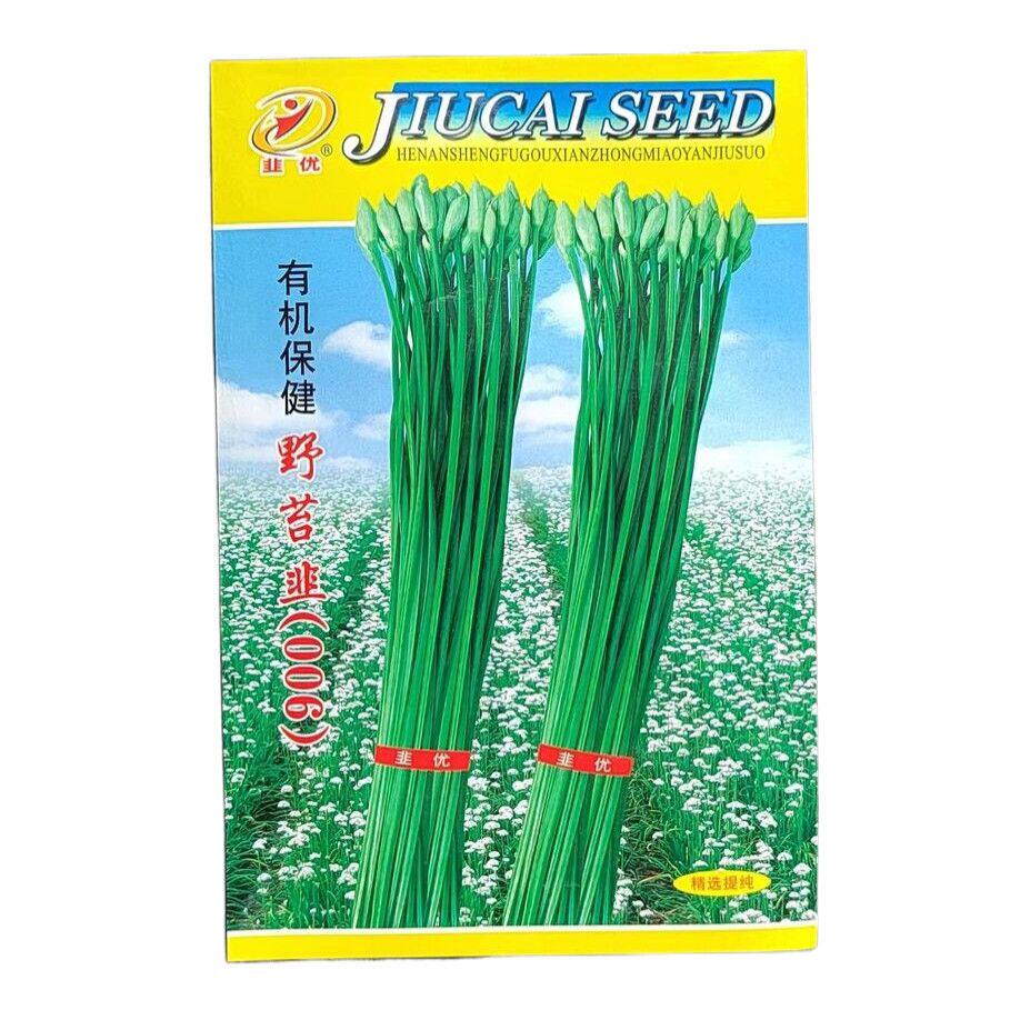 苔韭菜种子韭菜籽新鲜翠绿春播耐热四季寒绿王