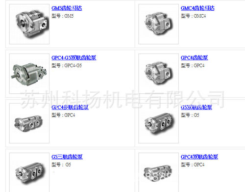 TJHD齿轮泵 TJHD双联齿轮泵 TJHD多联齿轮泵 G5-20-113-F20RL