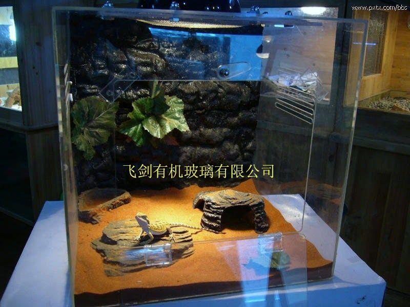 透明爬虫箱爬虫盒亚克力爬宠箱宠物饲养箱爬宠展示箱创意爬箱龟箱,自行车/骑行装备/零配件,自行车撑伞架,淘宝优惠券,粉丝福利购,淘宝优惠卷