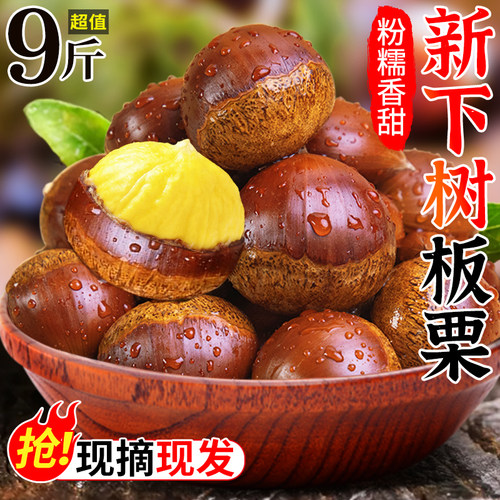【官方推荐】2025年新下树板栗