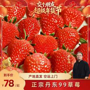 【交个朋友付定金 26日0点付尾款】丹东草莓新鲜水果红颜99草莓