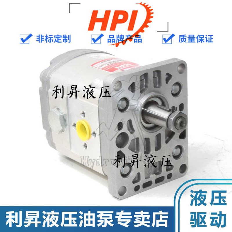 法国HPI齿轮泵P1BAN2018HL13B02N C5088494 P2BAN2017HL13B02N