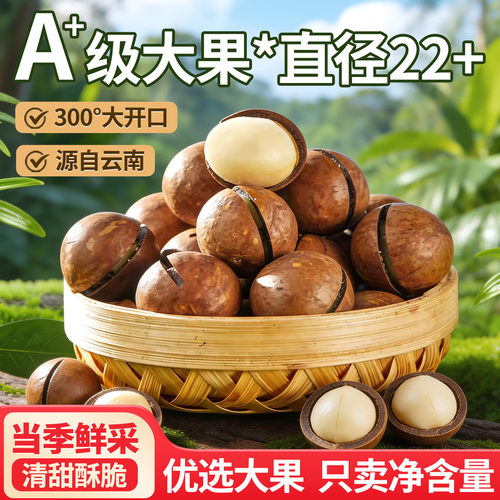 新货夏威夷果云南大号奶油味大颗粒原味孕妇解馋休闲干果坚果零食