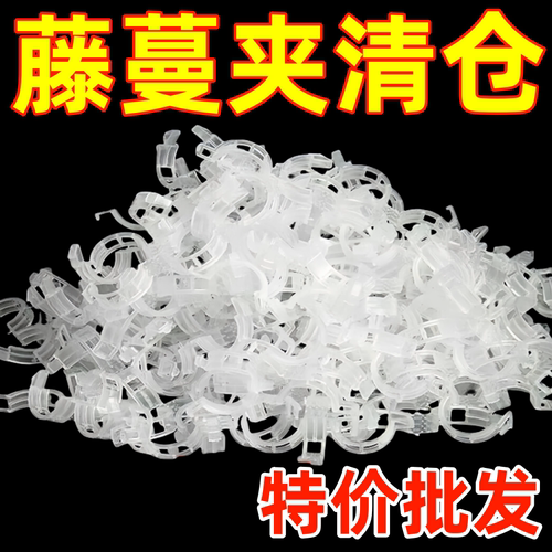 绿植果树植物卡扣藤蔓固定器秧苗爬藤支撑杆果蔬秧苗吊秧固定夹