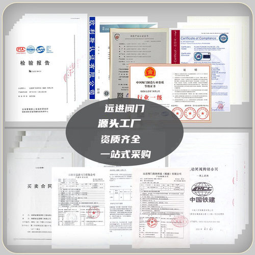 Z41X-10/16Q法兰明杆软密封闸阀DN50 65 100等多种规格QT450