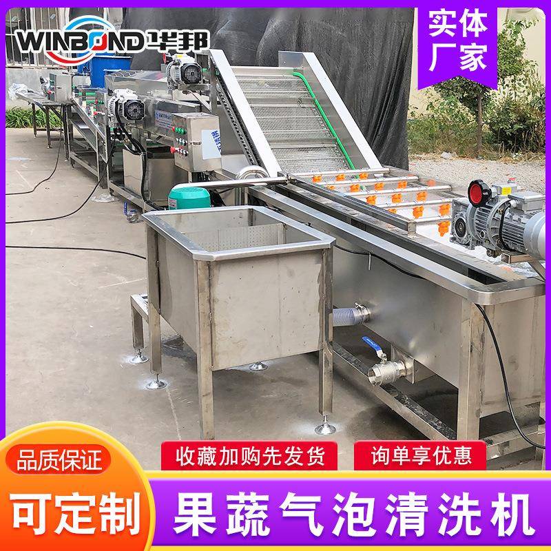 厂家485供 水果蔬菜鼓应浪式洗清机 果蔬气泡清 洗机清洗流水线
