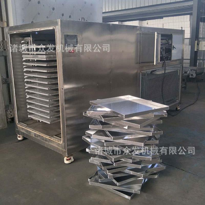 FD1-100平食品真空冷众冻干燥机 水低温真空果冻干机果 蔬粉冻干