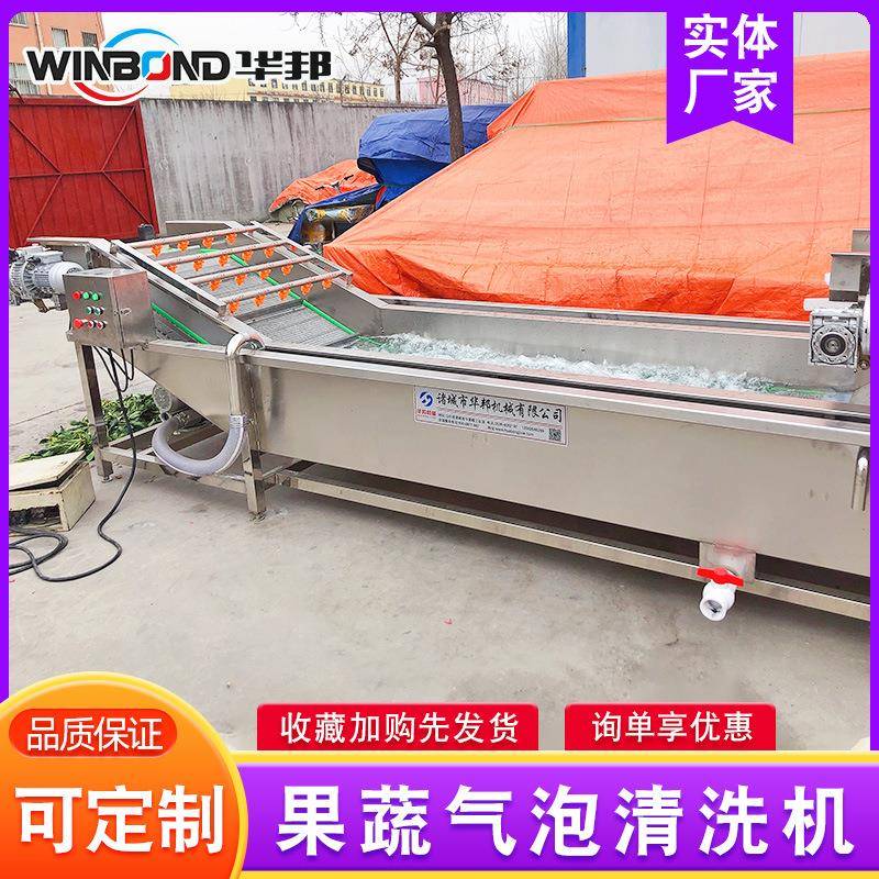 全自动果蔬洗气泡清机 商用型多功大能洗菜机 蓝莓桑洗葚HB3500清