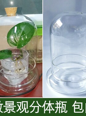 手工透明玻璃上下分体罩苔藓瓶展示瓶多肉标准微景观人偶摆件