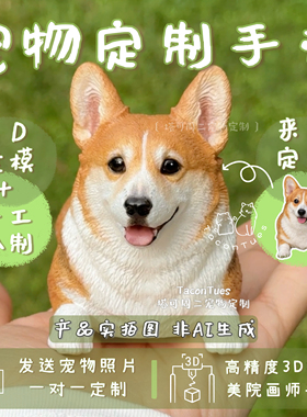 【塔可周二宠物定制】3D建模宠物全身定制手办