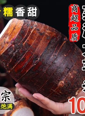 广西荔浦新鲜大芋头10斤香芋小芋头旗舰店正宗槟榔芋现挖毛芋艿5