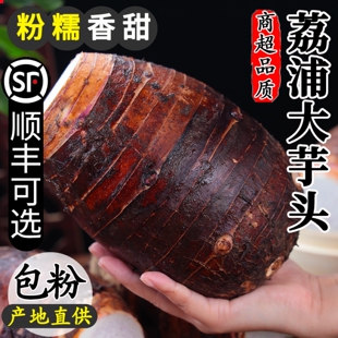 广西荔浦新鲜大芋头10斤整箱香芋小芋头旗舰店正宗槟榔芋现挖毛芋