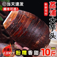 【官方推薦】正宗荔浦大芋頭現(xiàn)挖