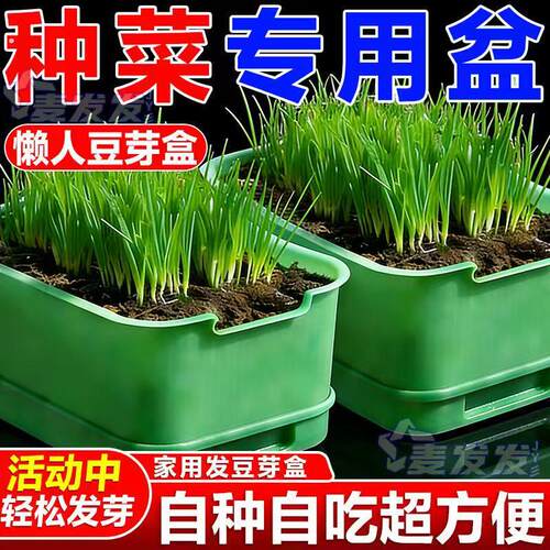 新款家用发豆芽神器超大快芽盆生种植豆芽发豆芽神器家庭沥水篮